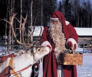Puzzle Άγιος Βασίλης δίνοντας διατροφή των ταράνδων